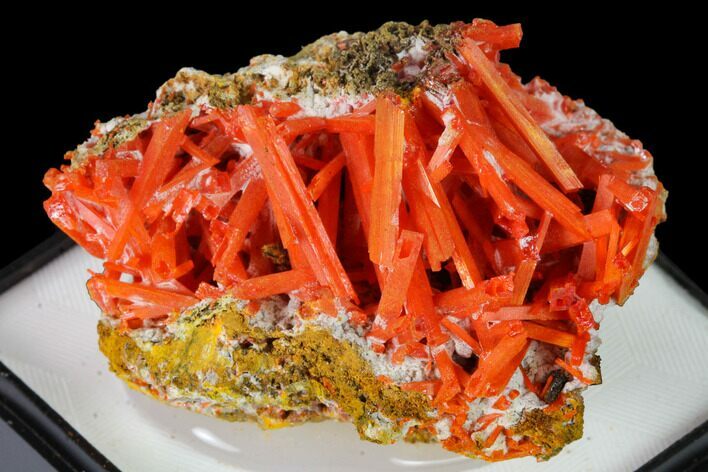 Bright Orange Crocoite Crystal Cluster - Tasmania #171654